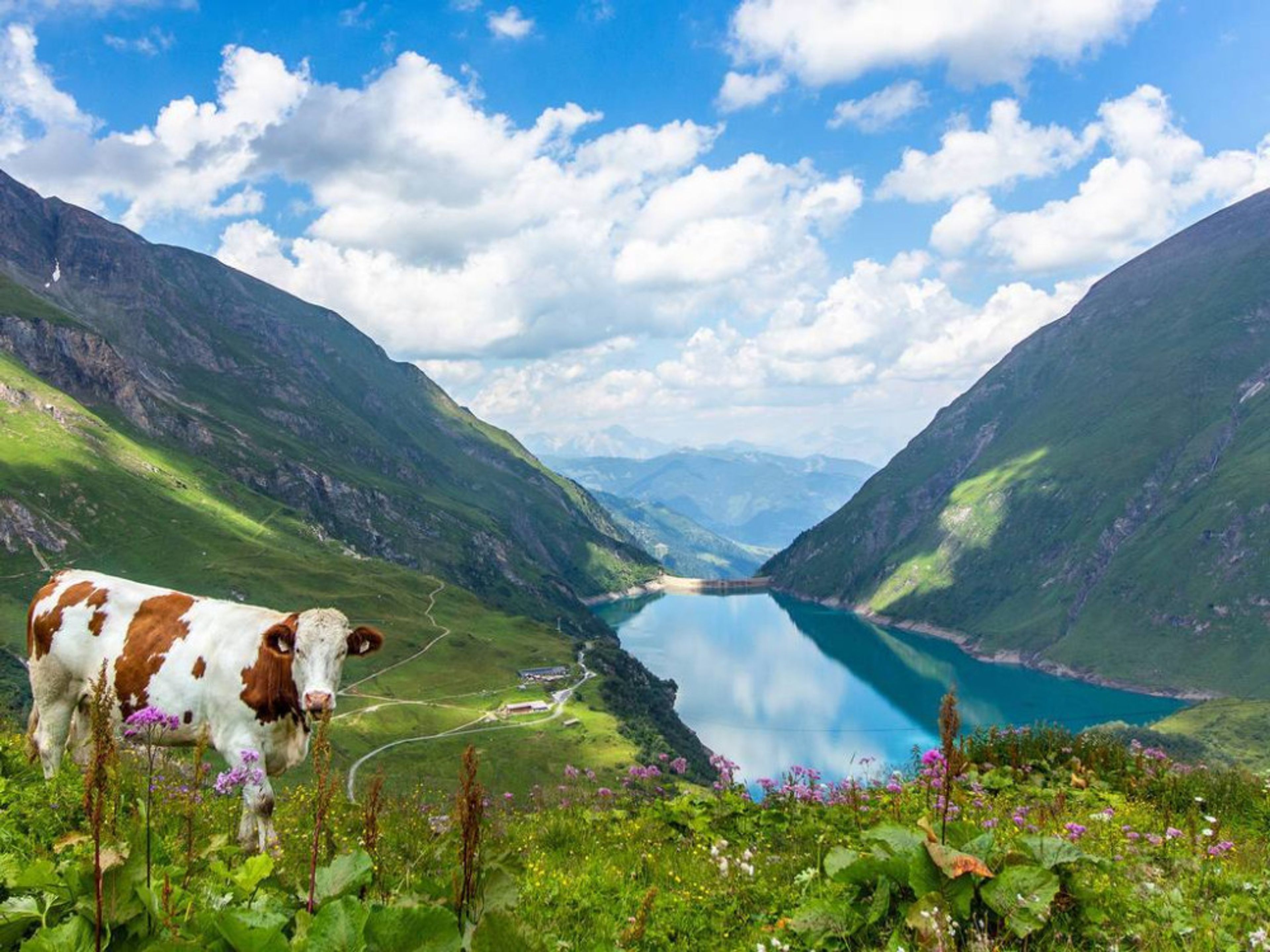 Victoria by VAYA foto 4