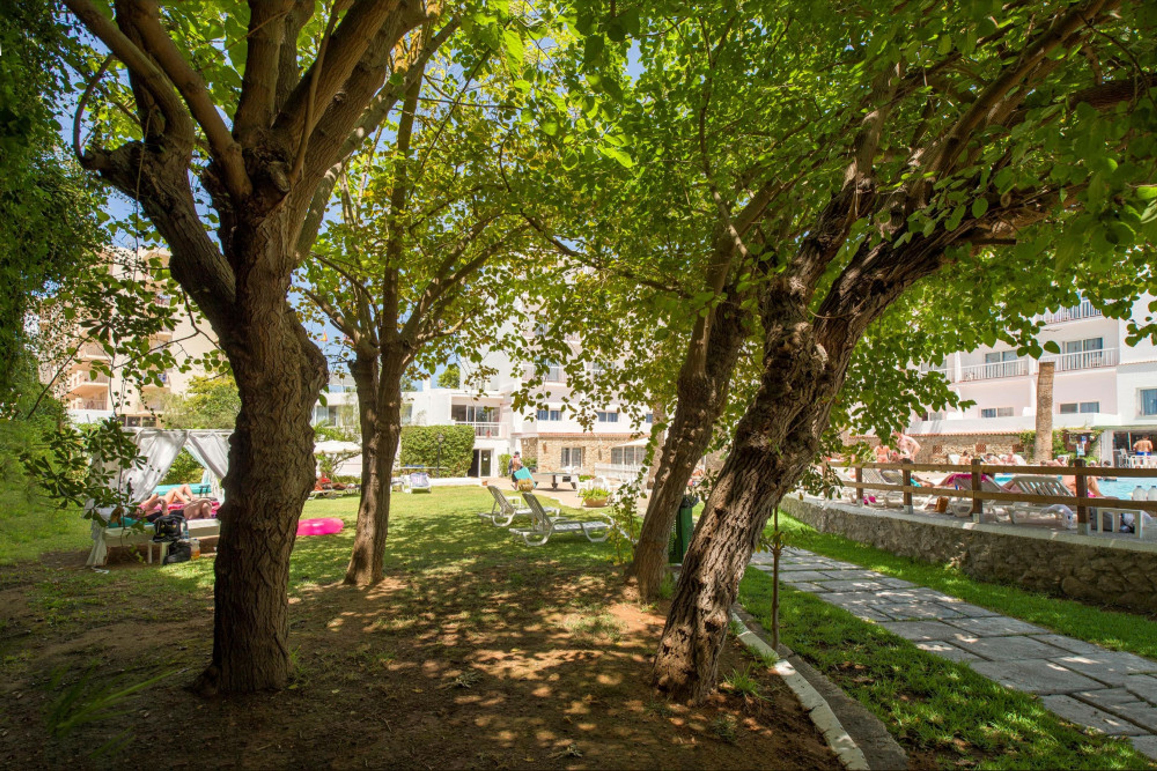 Vibra Marco Polo I foto 3