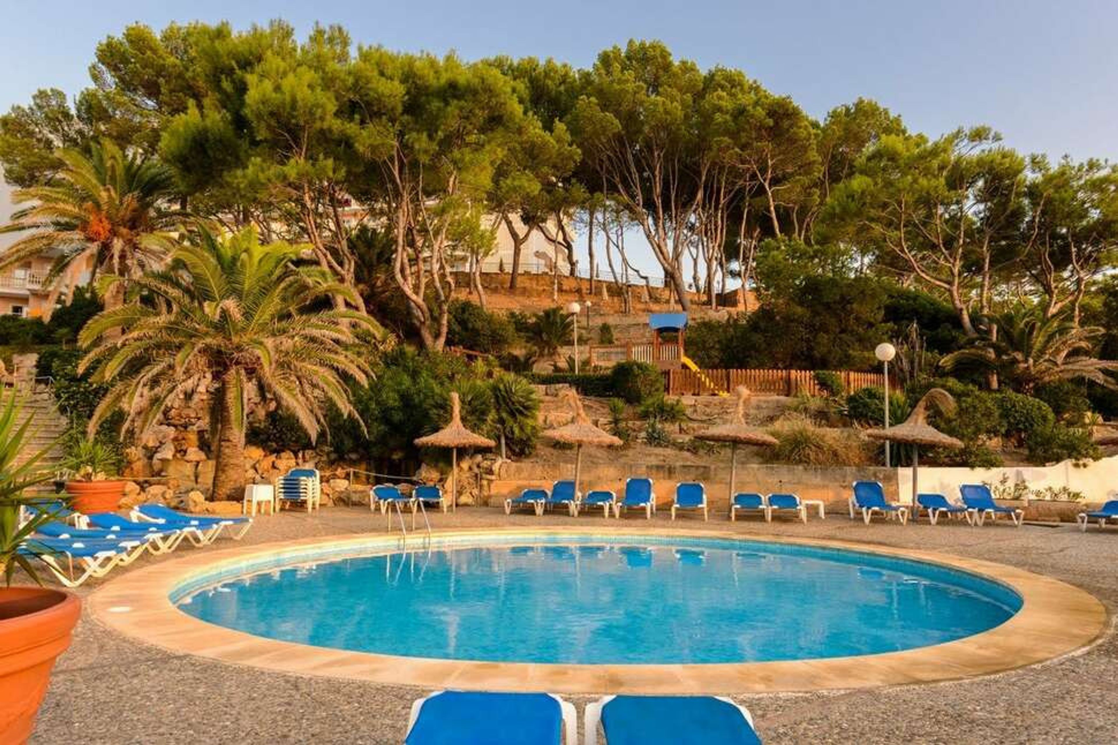 Vibra Beverly Playa foto 1