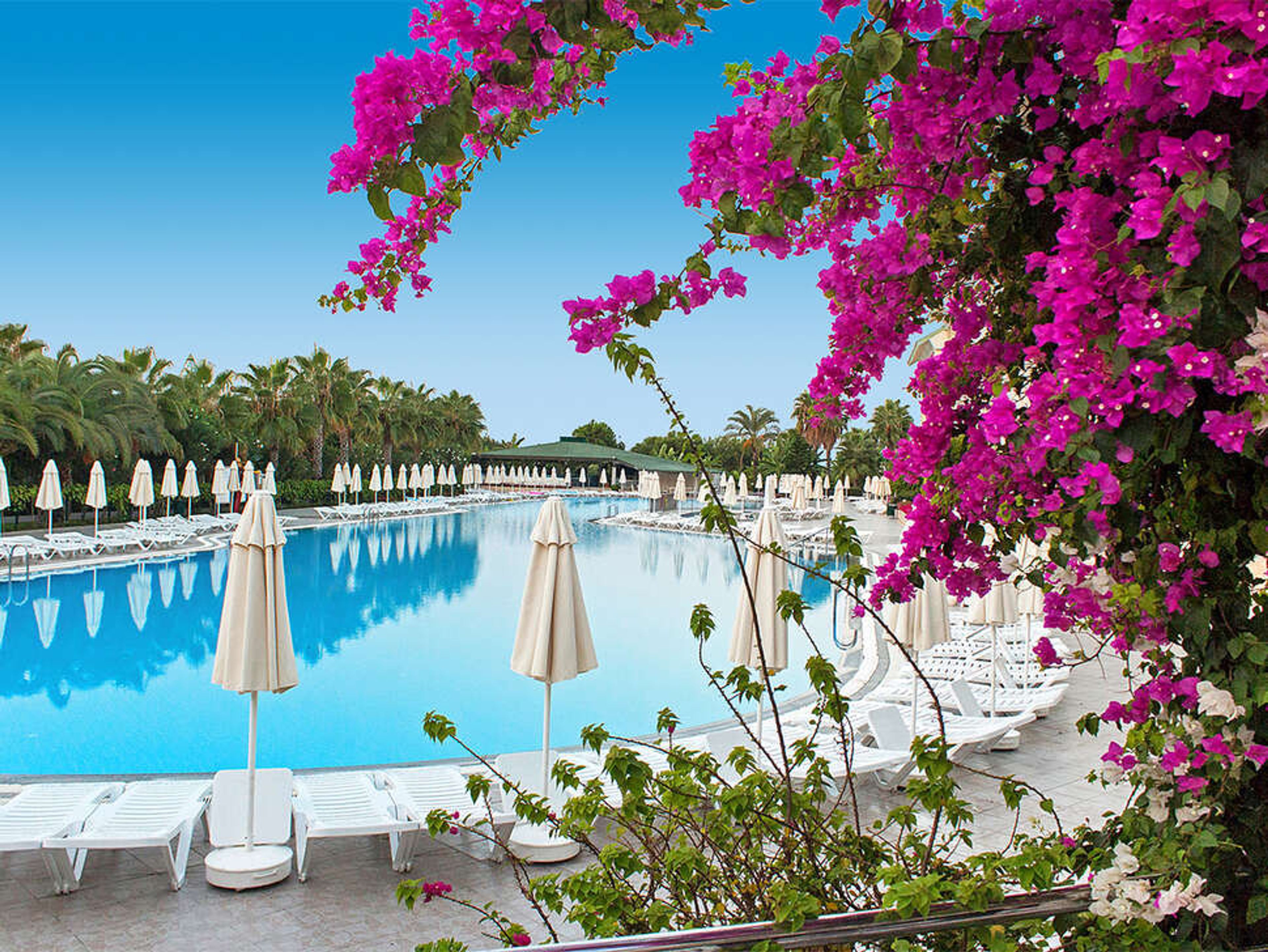 VON Resort Elite foto 1