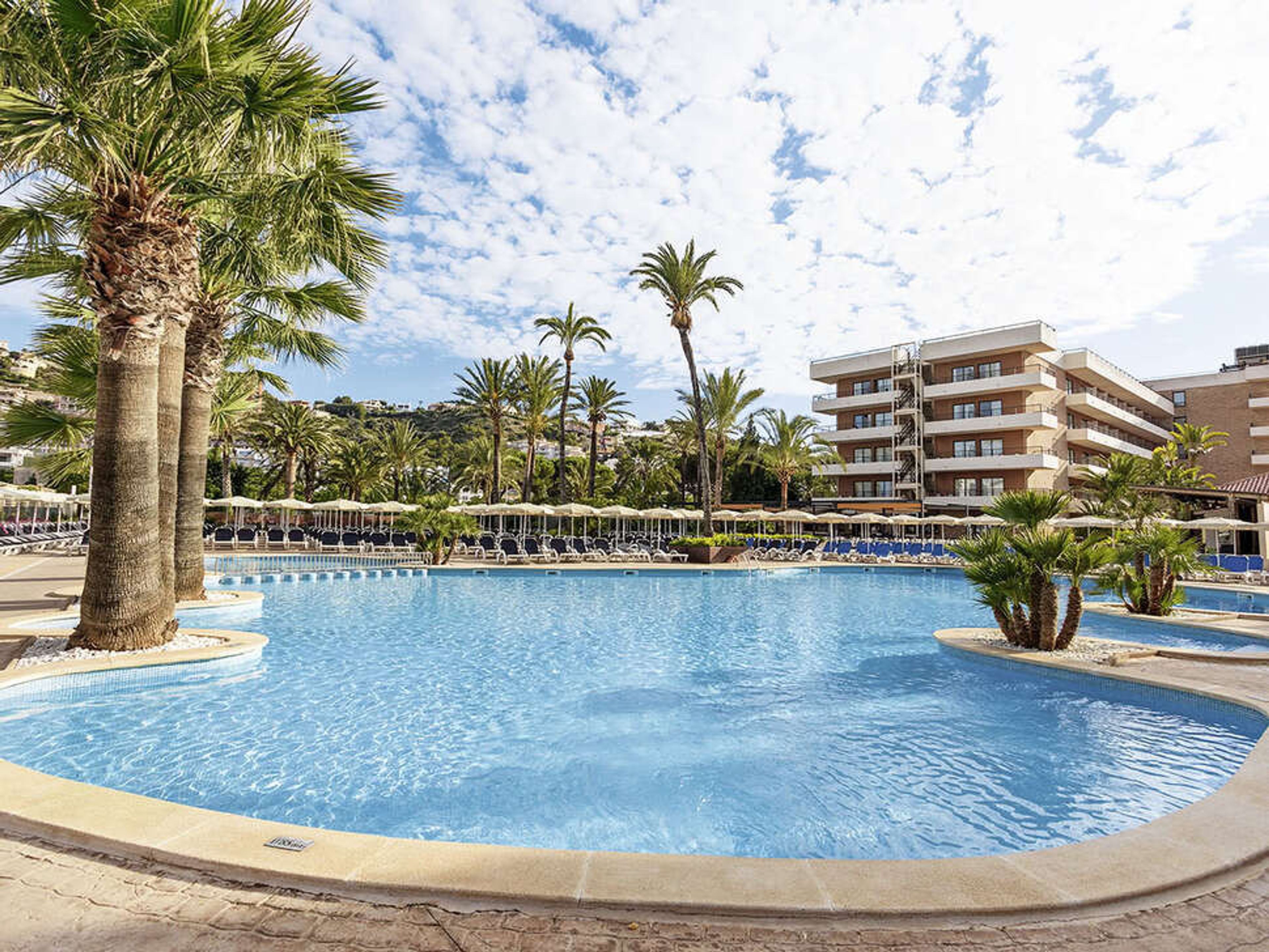 Zafiro Rey Don Jaime foto 1