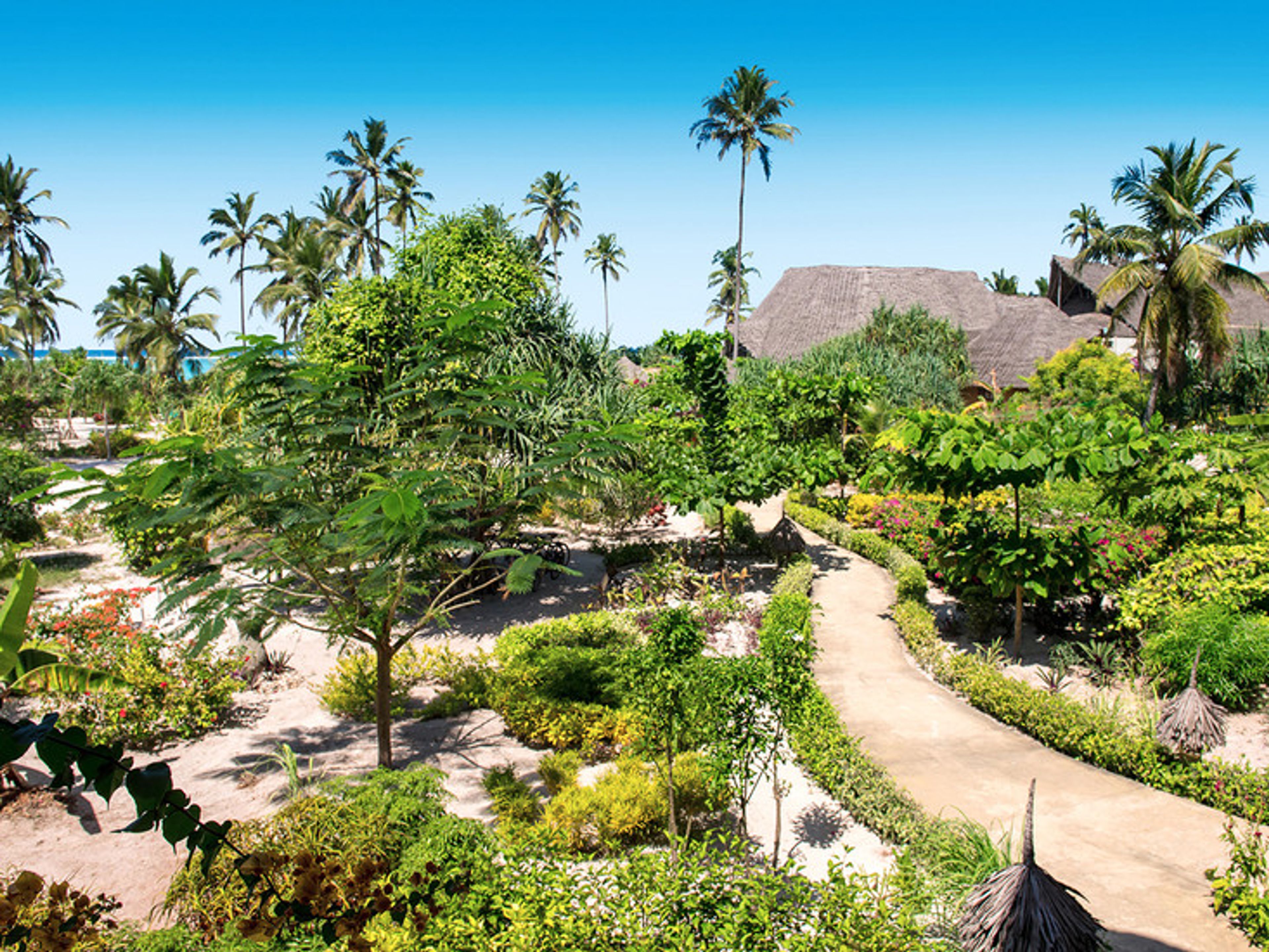 Zanzibar Queen foto 3