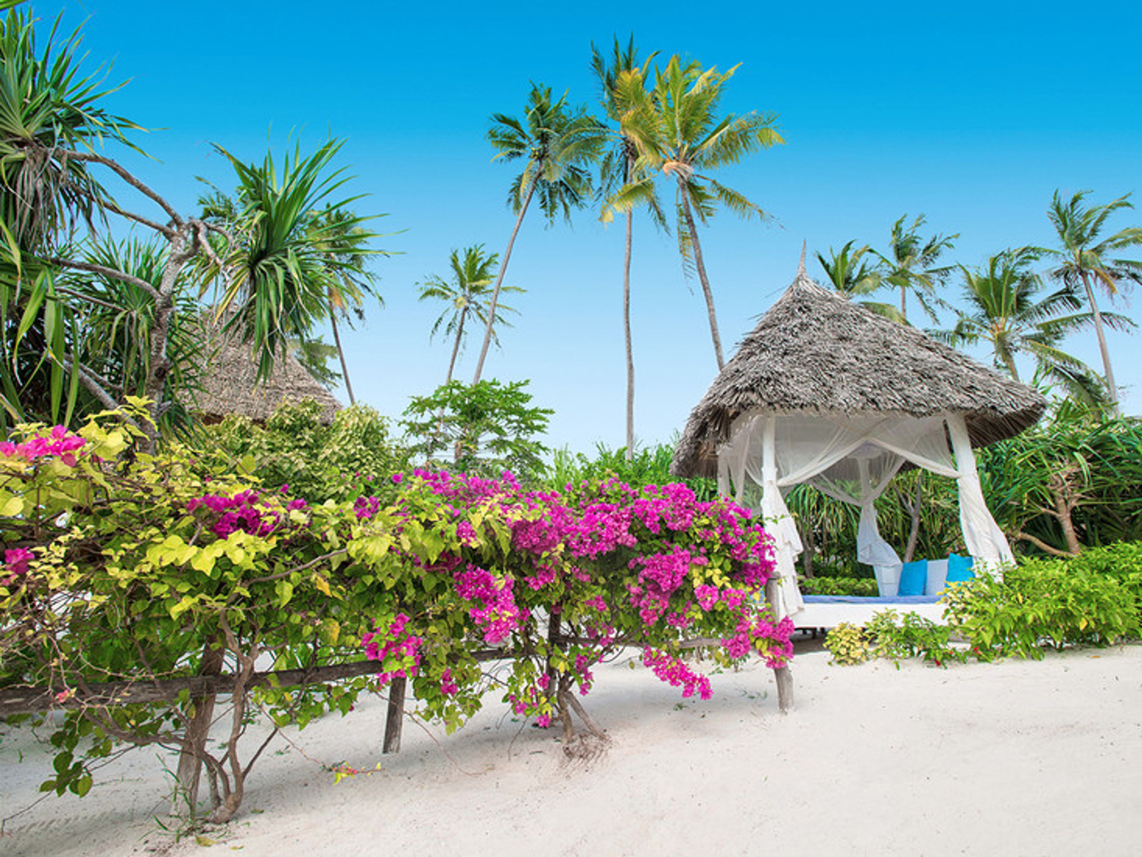 Zanzibar Queen foto 4