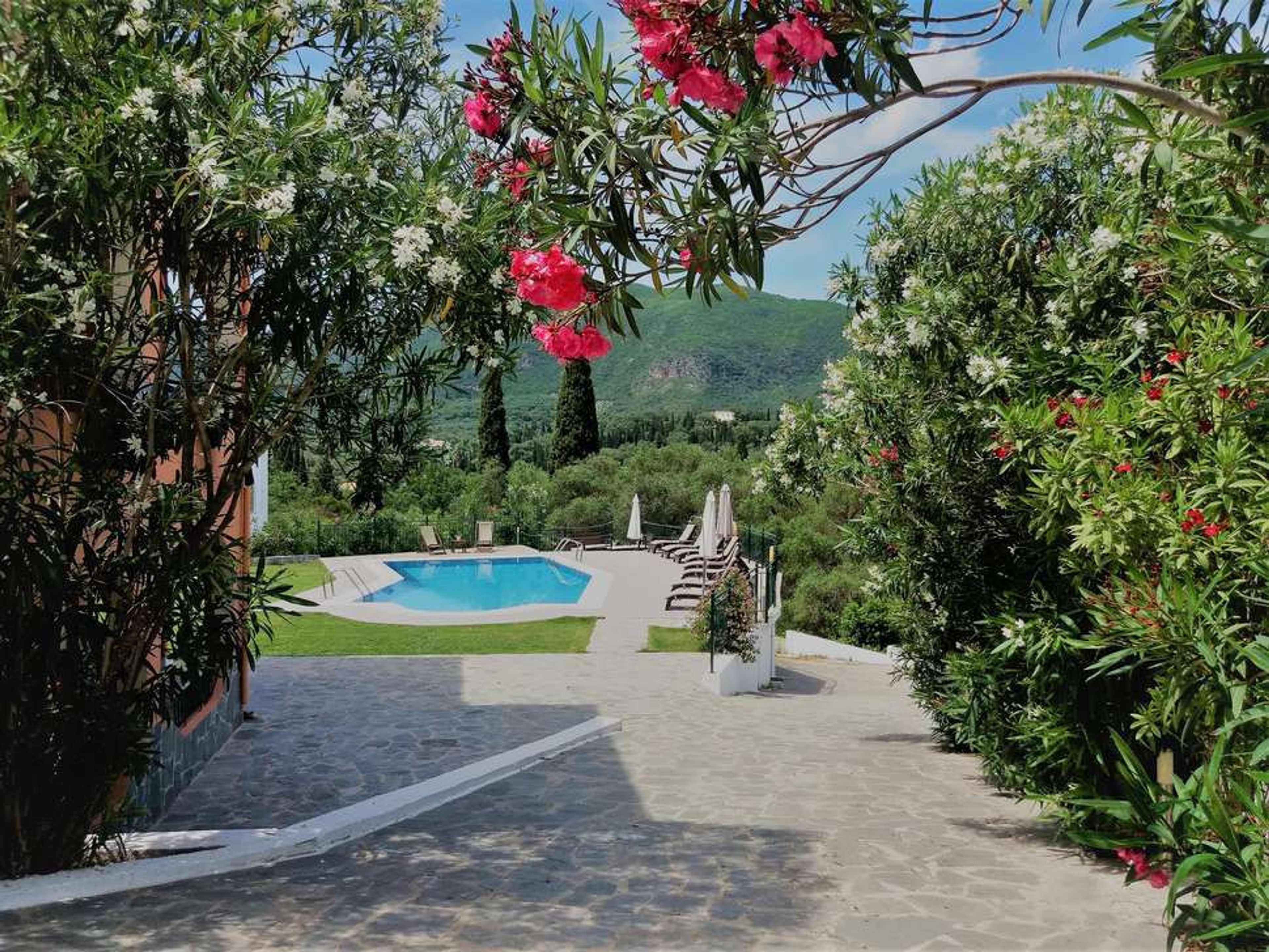 Ziogas Luxury Appartementen foto 1